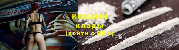 тгк Осташков
