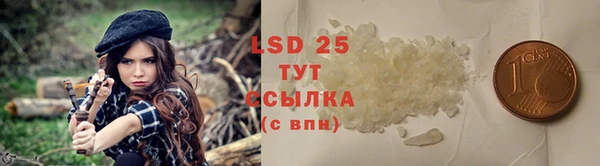 тгк Осташков