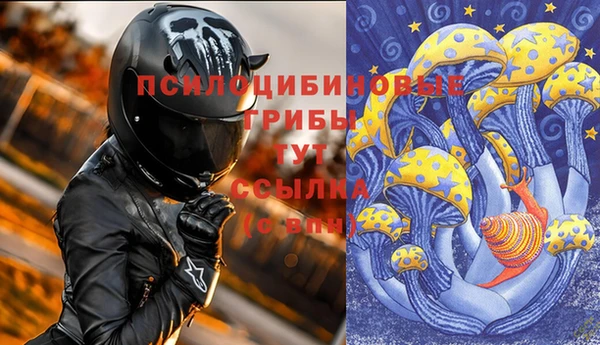 mdpv Осинники