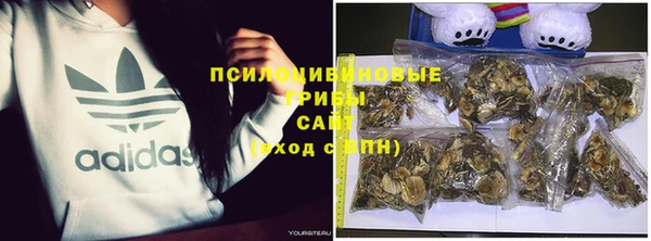 тгк Осташков